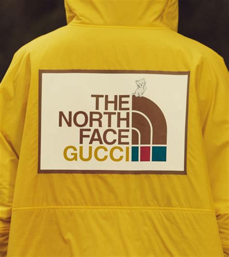 the north face gucci cheap|north face gucci shop online.